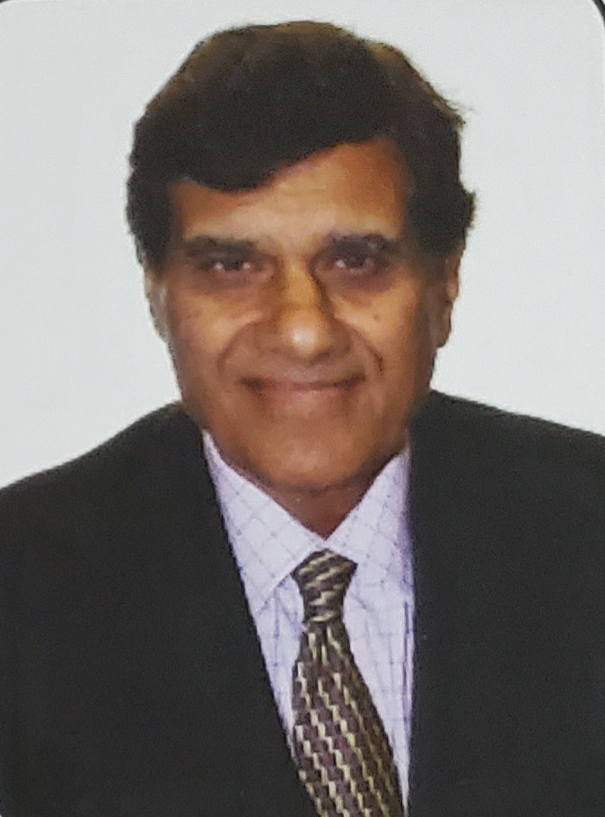 Image of Madan DHEER